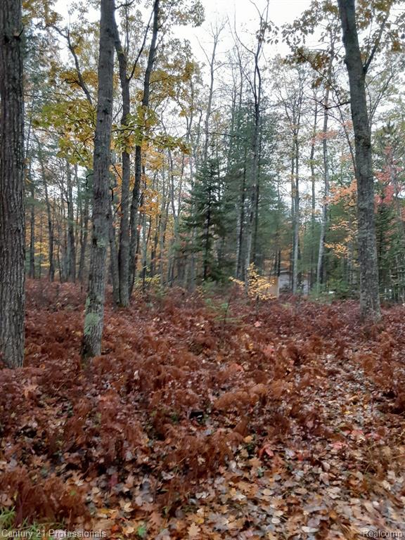 6710 Chippewa Trail, Rogers City, MI 49779 — front exterior