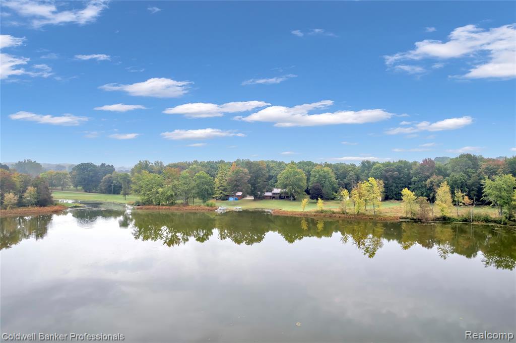 4445 McDowell Road, Lapeer, MI 48446 — Photo 29