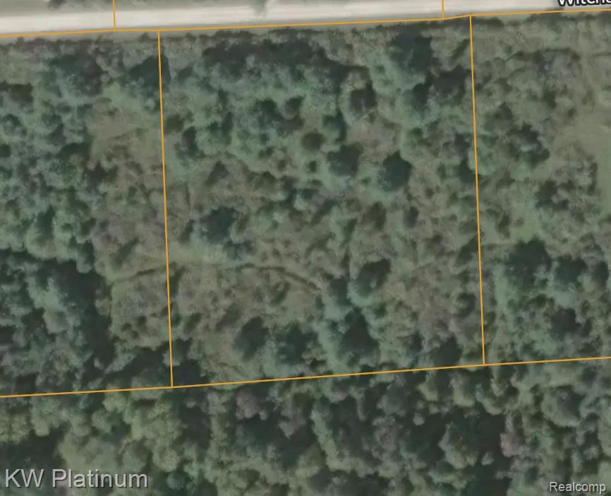 Parcel B Wicha Drive, Burtchville, MI 48059 — Photo 4