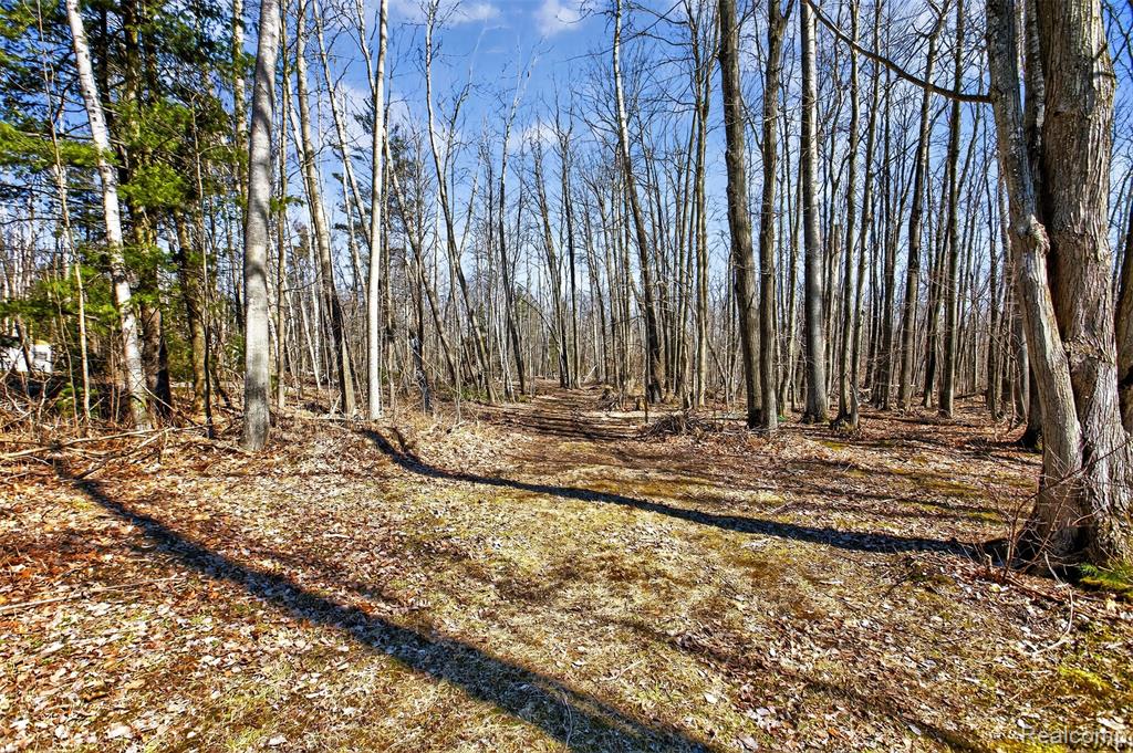 2633 S Stevens Road, Greenbush, MI 48738 — Photo 9