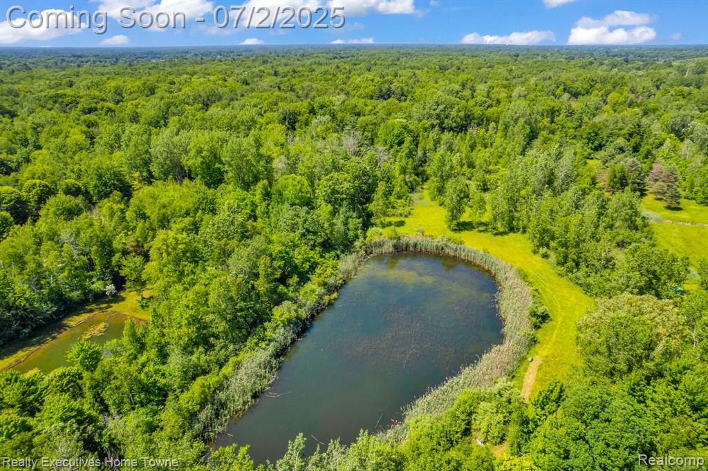 5094 Smiths Creek Road, Kimball, MI — Photo 4