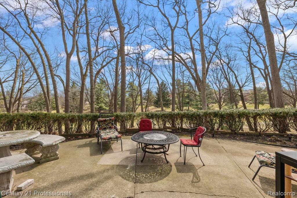 Privacy Hedge -LL Patio