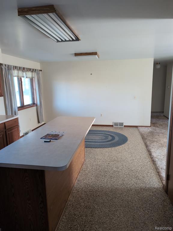 3854 Castle Road, North Branch, MI 48461 — Photo 8