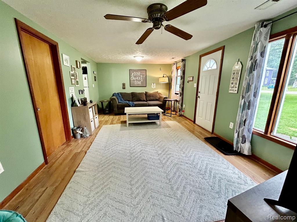 314 Mechanic Street, Stockbridge, MI 49285 — Photo 3