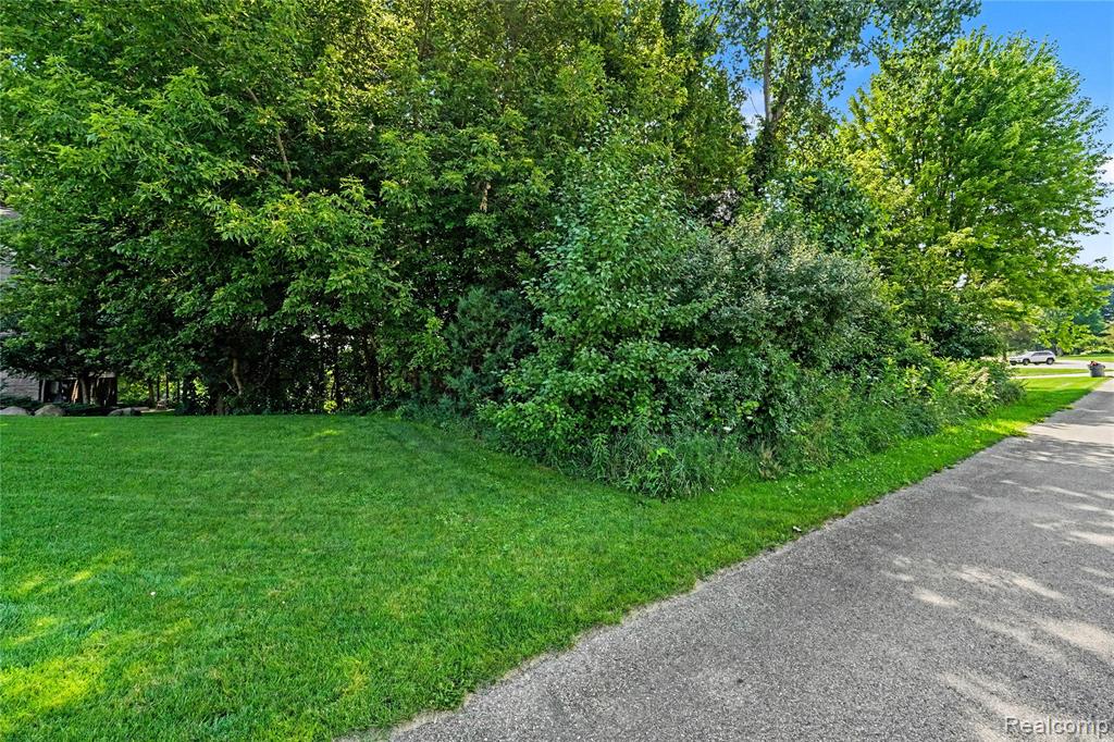 Homesite #15 Olivia Drive, Milford, MI 48381 — Photo 6