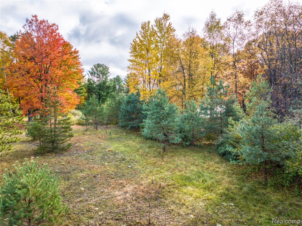 6310 Kilkenny Drive, Canadian Lakes, MI 49346 — Photo 13