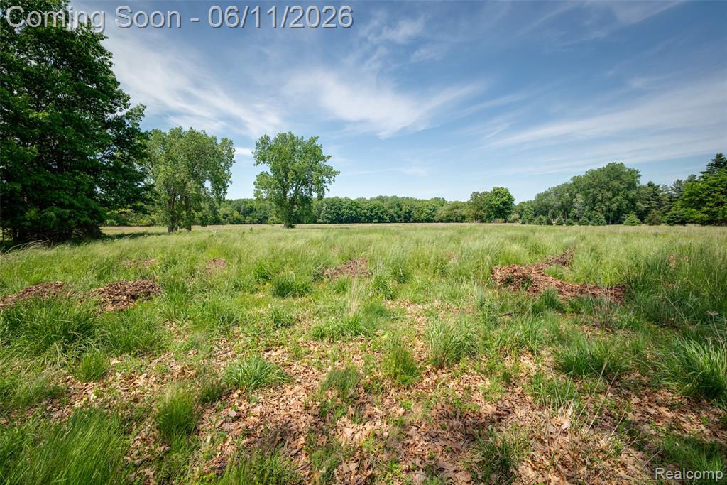 607 E King Street, Corunna, MI 48817 — Photo 32