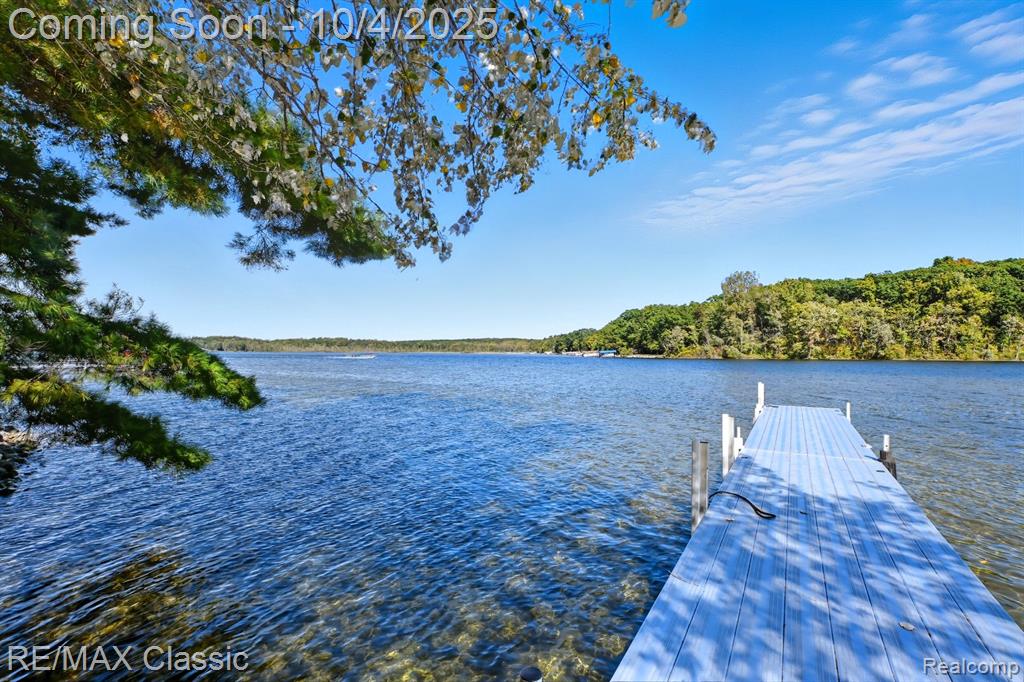 8791 Fairway Drive, Gregory, MI 48137 — Photo 28