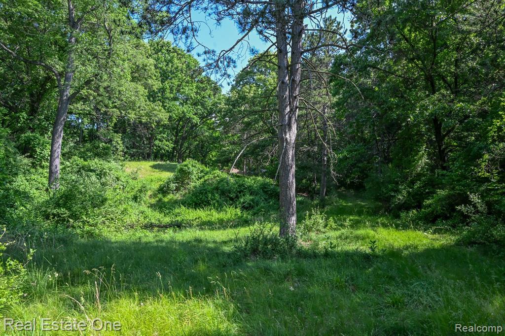 1832 W Commerce Road, Milford, MI 48380 — Photo 6