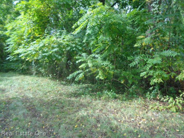 17555 TRINITY Street, Detroit, MI 48219 — Photo 5