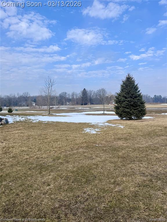 6060 INTRINSIC Lane, Imlay City, MI 48444 — Photo 31