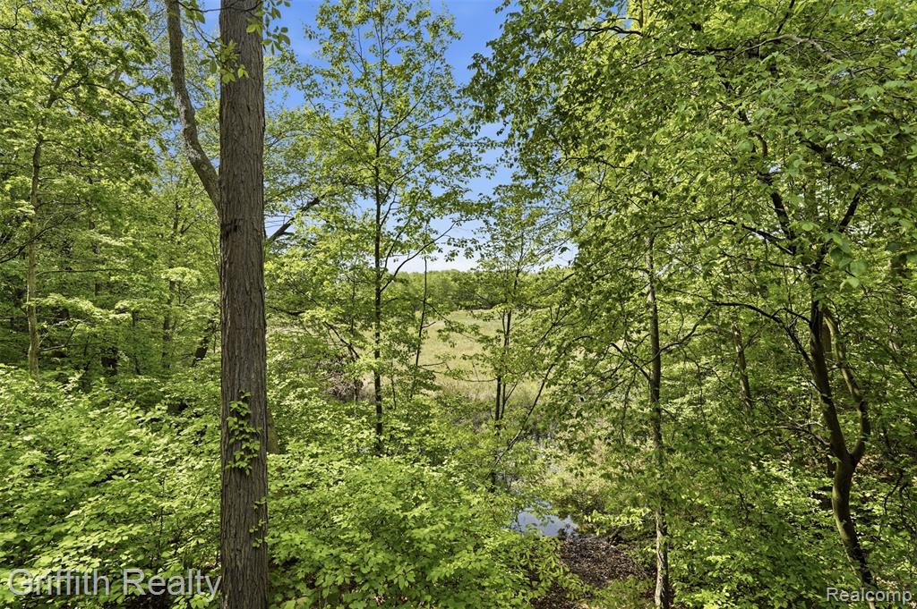2018 Pine Hollow Trail, Brighton, MI 48114 — Photo 59