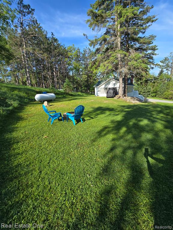 4160 N Hawk Road, Lincoln, MI 48742 — Photo 38