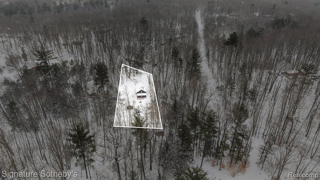 229 Forest Trail, Leroy, MI 49655 — Photo 29