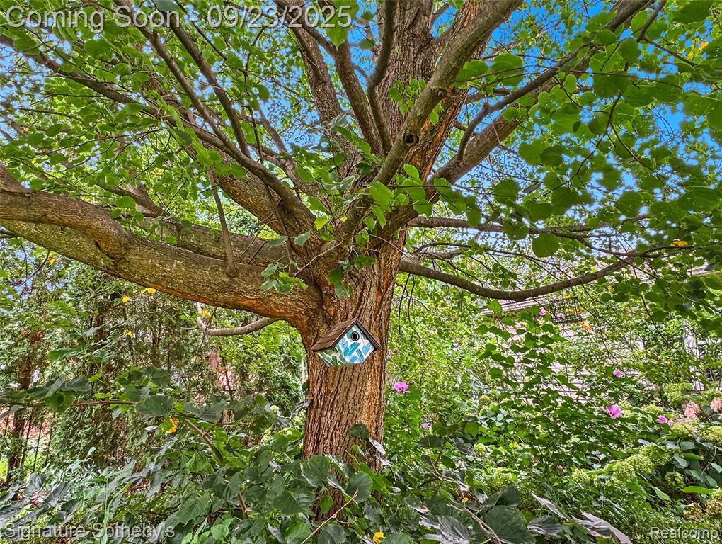 16207 Wetherby Street, Beverly Hills, MI 48025 — Photo 25