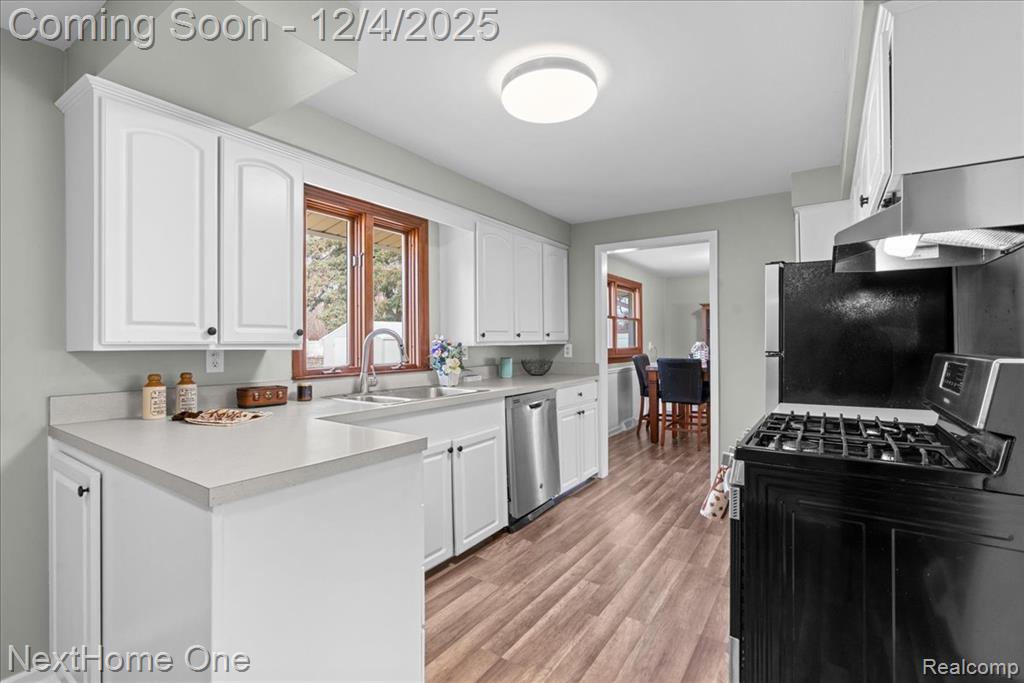 60658 Sue Street, Lyon, MI 48178 — Photo 8