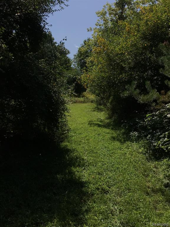 1581 S Force Road, Attica, MI 48412 — Photo 81