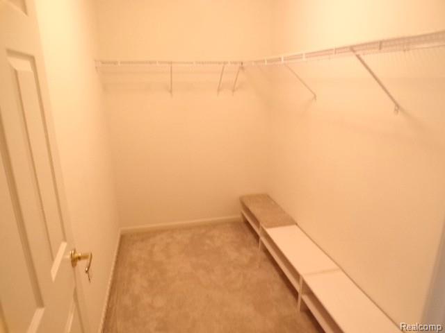 6575 Cortland Avenue, Brighton, MI 48114 — Photo 11