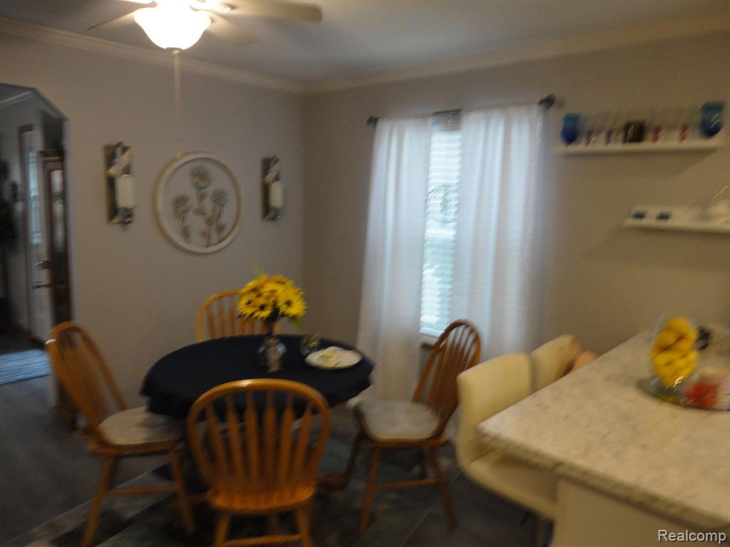 506 MISSOURI RIVER, Adrian, MI 49221 — Photo 5