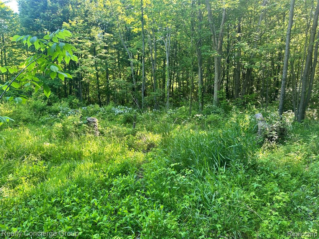 2681 Fisk Road, Howell, MI 48843 — Photo 14