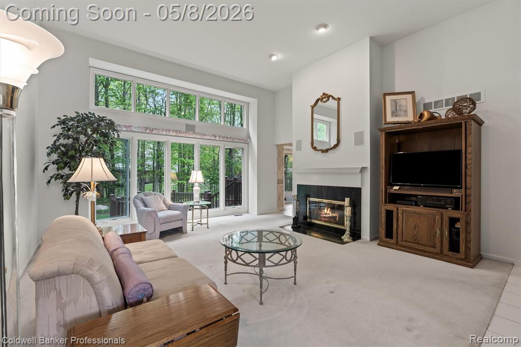 46770 Southview Lane, Plymouth, MI 48170 — Photo 9