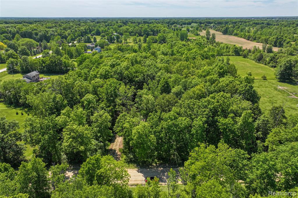 3075 Crandall Road, Howell, MI 48855 — Photo 3