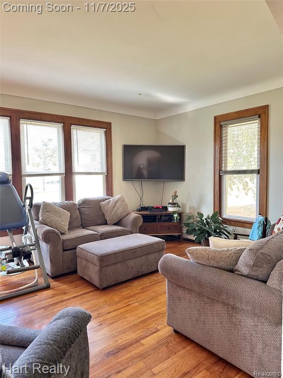 6865 Saint Marys Street, Brown, MI 48416 — Photo 20