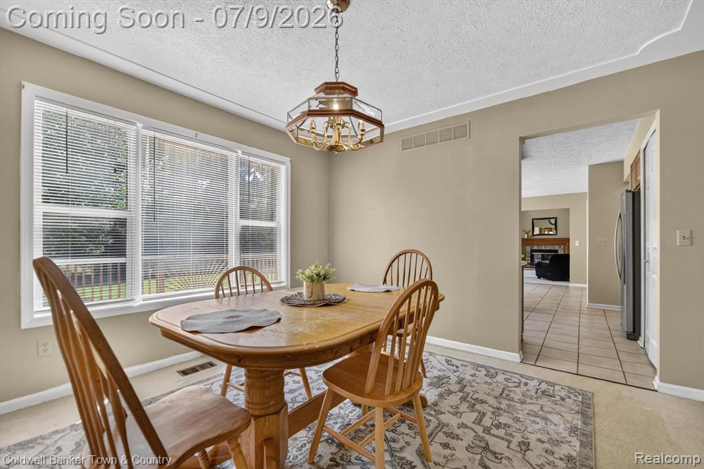 9016 Hyacinth Way, Brighton, MI 48116 — Photo 23
