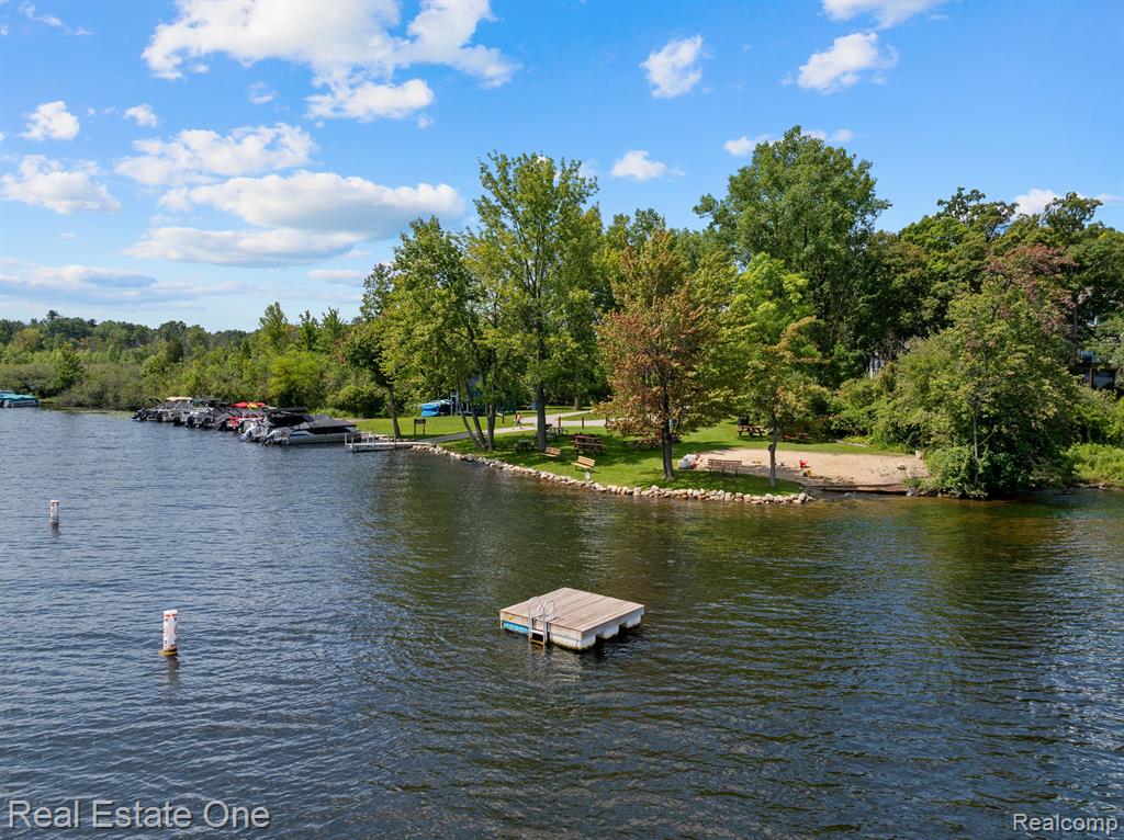 5026 GALLAGHER Boulevard, Whitmore Lake, MI 48189 — Photo 4