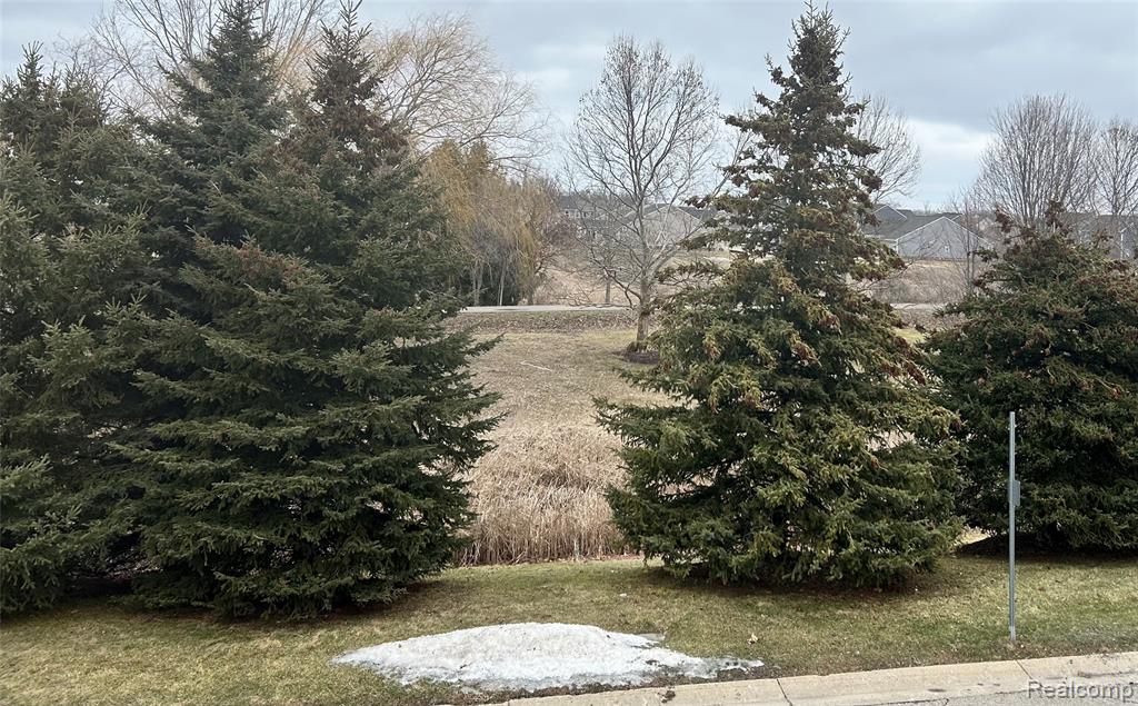 3204 Johanna Ware W, 13, Wixom, MI 48393 — Photo 18