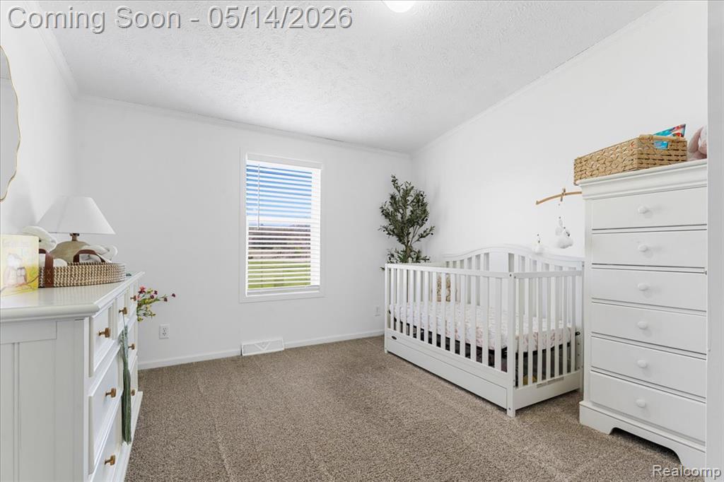 7935 Ravenswood Road, Goodells, MI — Photo 22
