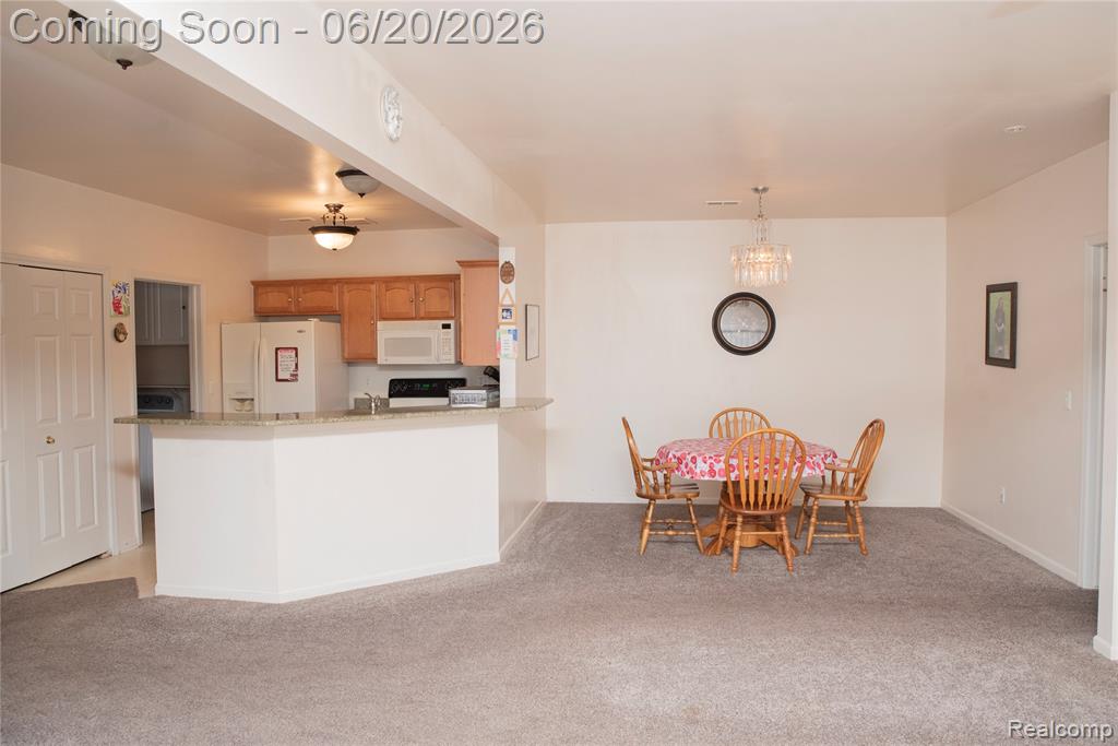 519 Cedar Street, Wyandotte, MI 48192 — Photo 13