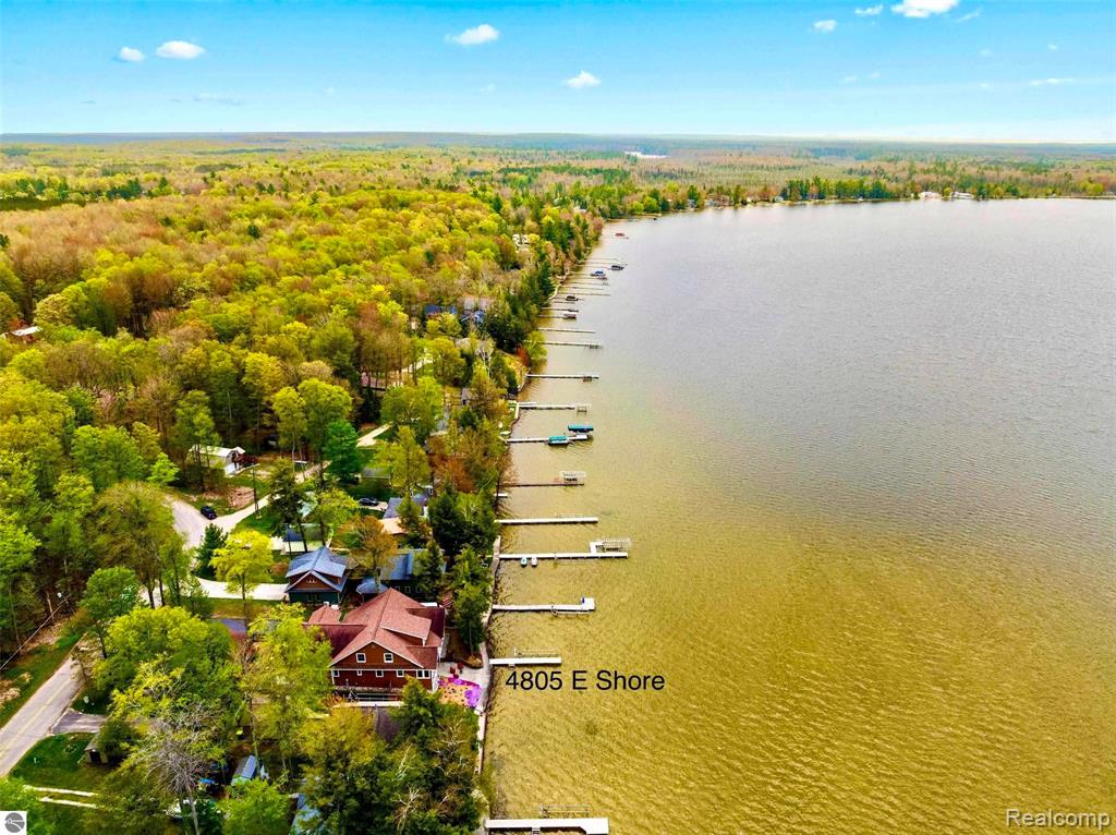 4805 E Shore Drive NE, Kalkaska, MI 49646 — Photo 5