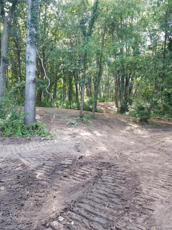Vacant Land Reason Rd, Pinckney, MI 48169 — Photo 2