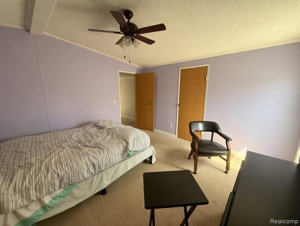 6988 Mckean, Ypsilanti, MI 48197 — Photo 14