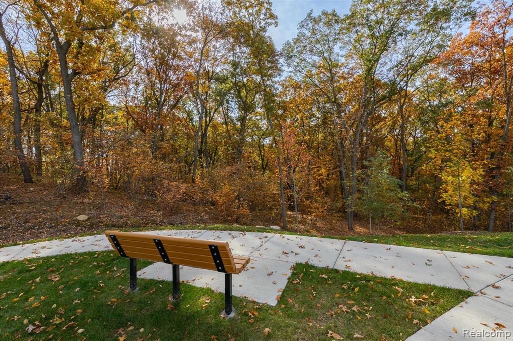 4397 SILICA Drive, Lake Orion, MI — Photo 49