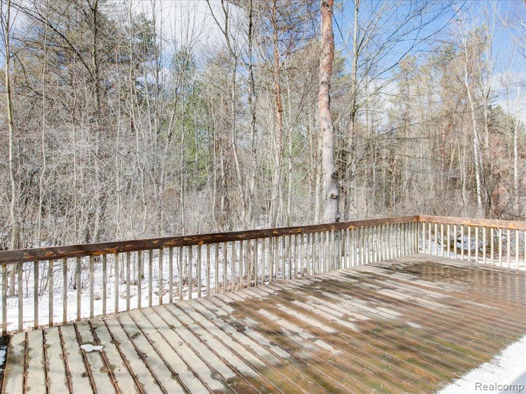 5132 BIRCH Avenue, Lexington, MI 48450 — Photo 4