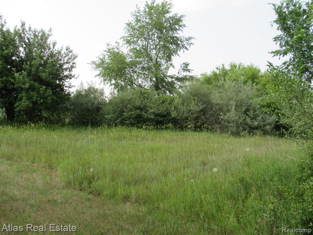78 W BARNES Road, Fostoria, MI 48435 — Photo 44