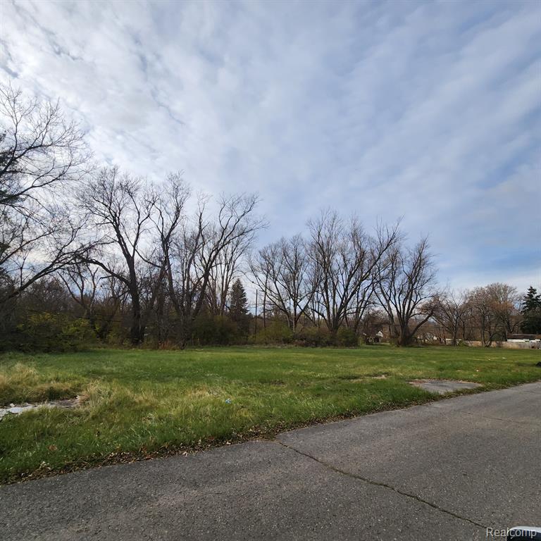 15401 HAZELTON Street, Detroit, MI 48223 — Photo 8