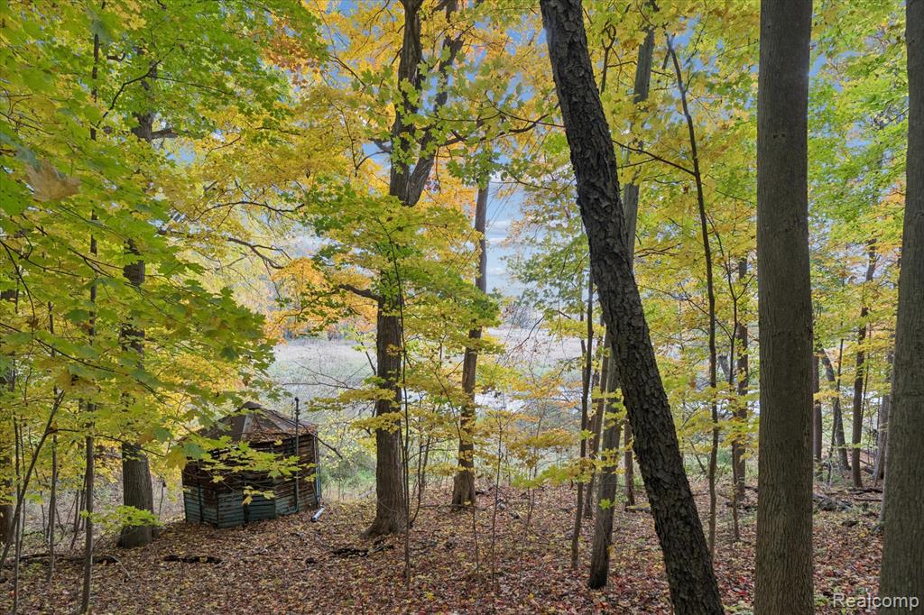 5203 N Bancroft, Bancroft, MI 48429 — Photo 69