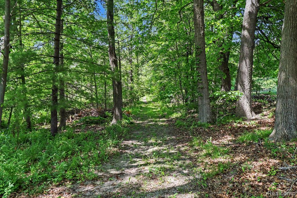16400 Easudes Road, Grass Lake, MI 49240 — Photo 71