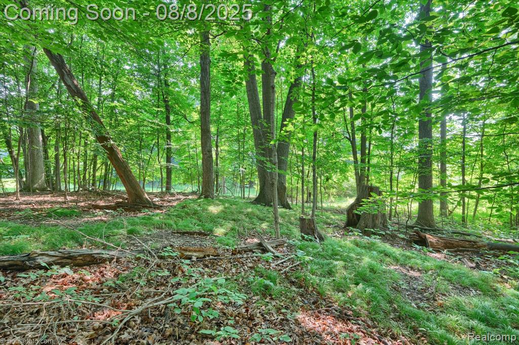2784 S Blacks Corners Road, Imlay City, MI 48444 — Photo 70