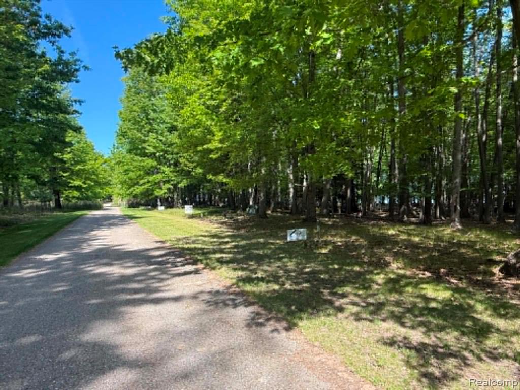 Lot 15 Towering Oaks Drive, Port Austin, MI — Photo 4