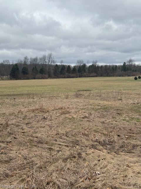 Lot C Rosy, Leonard, MI 48367 — Photo 5