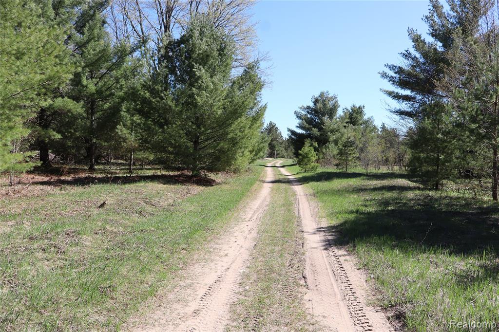 5575 E 26 Mile Road, Pickford, MI 49774 — Photo 25