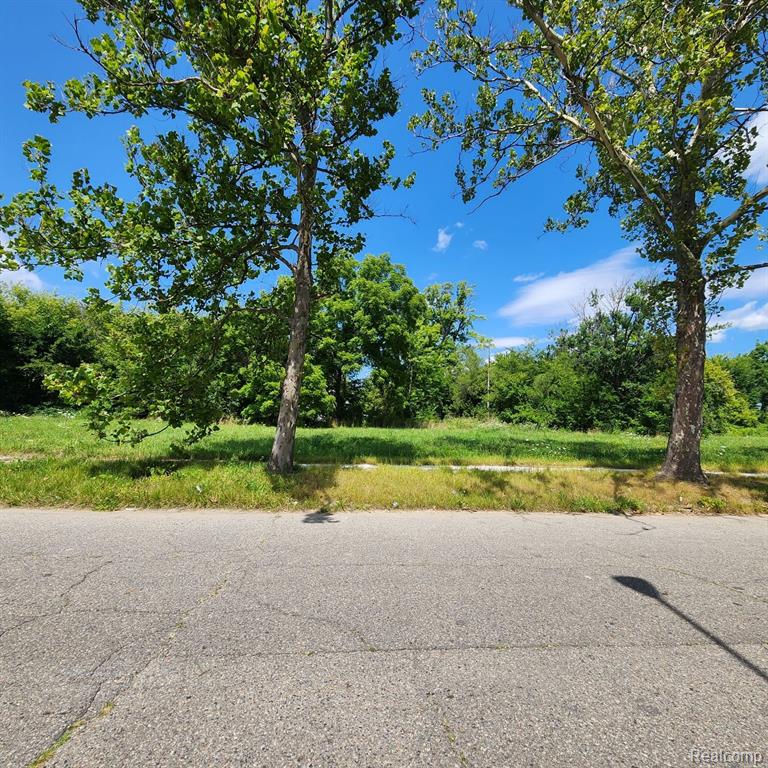 945 E EUCLID Street, Detroit, MI 48211 — Photo 5