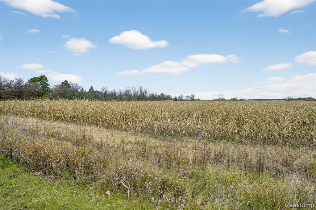 6434 Bristol Road, Swartz Creek, MI 48473 — Photo 16