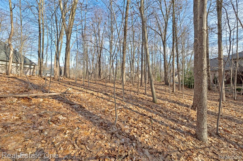 9889 Kingston Ridge, Clarkston, MI 48348 — Photo 23