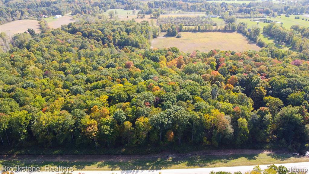 8390 SPARLING Road, Wales, MI — Photo 13