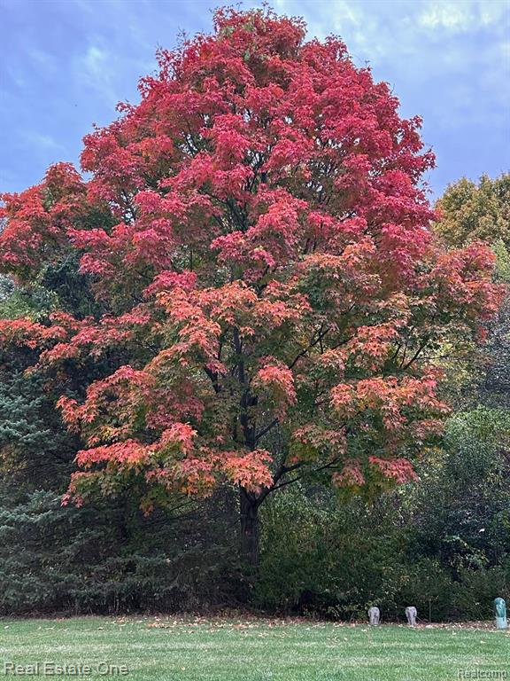 1088 Eagle Nest Drive, Milford, MI 48381 — Photo 54